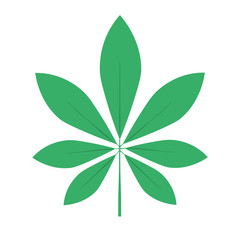 Green plant leaf. Isolated vector illustration on white background.