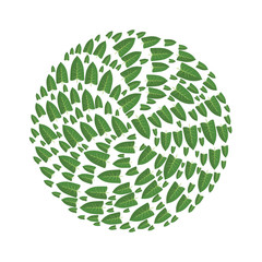 Green leaves of tree arranged in the shape of a circle. Design element, vector illustration, isolated on white background.