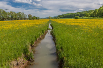 Bachlandschaft bei Stegaurach