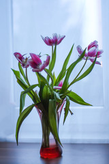 Bouquet of tulip flowers.