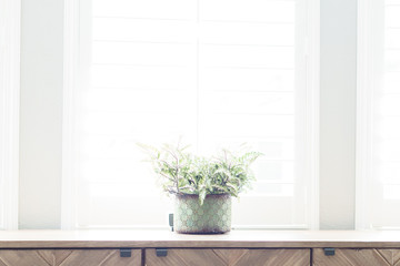 plant on dresser with window light