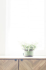 plant on dresser with window light