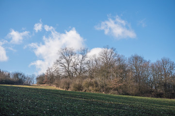 Landschaft im Frühjahr