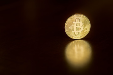 Bitcoin. Gold Bitcoin(new virtual money)