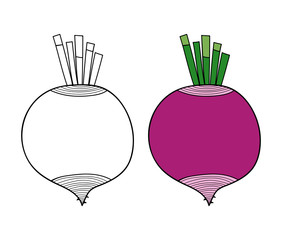 Vegetables. Black and white illustration for coloring book or page.