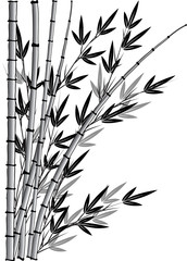 Naklejka premium bamboo design