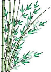 Obraz premium bamboo design