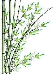 Naklejki  bambusowy projekt