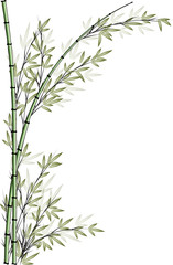 bamboo drawing background