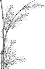 bamboo drawing background
