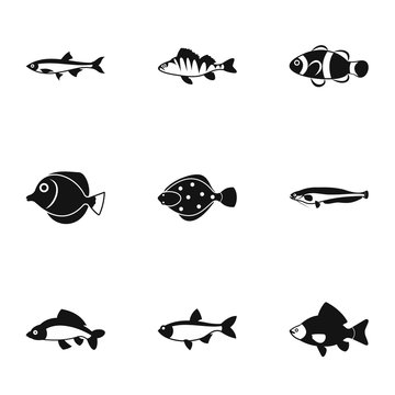 Species of fish icons set, simple style