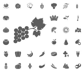 Grape icon. Fruit and Vegetables vector illustration icon set. food and plant symbols.