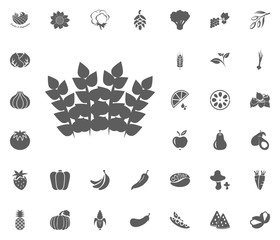 Fototapeta premium Mint icon. Fruit and Vegetables vector illustration icon set. food and plant symbols.