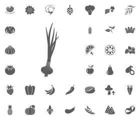 Green onion icon. Fruit and Vegetables vector illustration icon set. food and plant symbols.