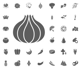 Onion icon. Fruit and Vegetables vector illustration icon set. food and plant symbols.