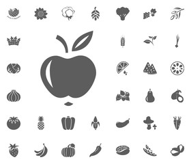 Apple icon. Fruit and Vegetables vector illustration icon set. food and plant symbols.