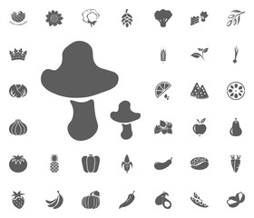 Mushrooms icon. Fruit and Vegetables vector illustration icon set. food and plant symbols.