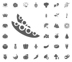 Peas icon. Fruit and Vegetables vector illustration icon set. food and plant symbols.