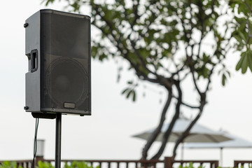 Close up details of Acoustic speaker with woofer and loudspeaker with outdoor