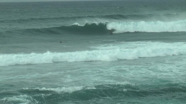 Surfers on the huge Pacific waves off the coast of the Hawaiian island of Maui