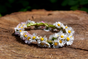 Daisy flower bracelet in the sun on a wooden surface