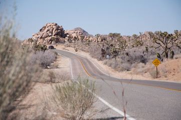Road with a car disappearing in the distant dessert at Yoshua Tree national park, California