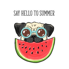 Say hello to summer. Vector illustration of a happy pug in glasses eating watermelon