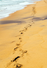 Footprints in the sand beach road in dune