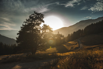 Amazing sunrise, mountains, trees and car dust