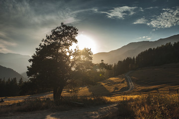 Amazing sunrise, mountains, trees and car dust