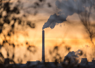 Smoke from pipes in the plant behind the branches of trees
