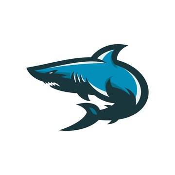 
Animal Head - shark - vector logo/icon illustration mascot