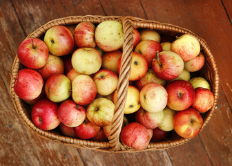Bright tasty ripe apples in a basket