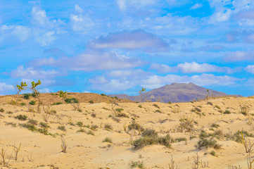 Desert landscape in Cape Verde, Africa