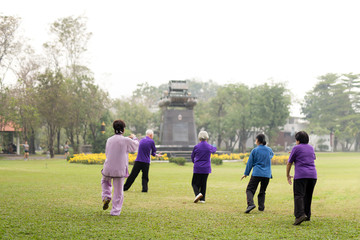 Elderly people doing tai chi exercises