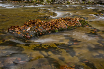 Otoño en los Pirineos