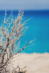 Background at the sea