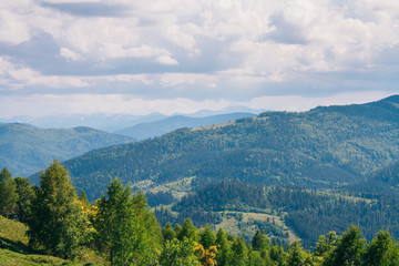 Fototapeta na wymiar Bird's eye view of Carpathian mountains