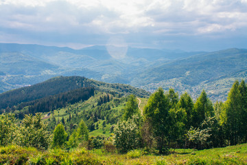 Bird's eye view of Carpathian mountains