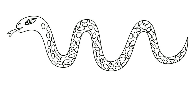 Snake doodle vector illustration