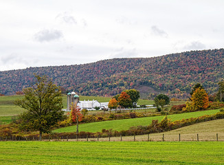 A dairy farm located in the hills of Pennsylvania.