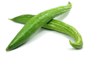 Snake gourd isolated