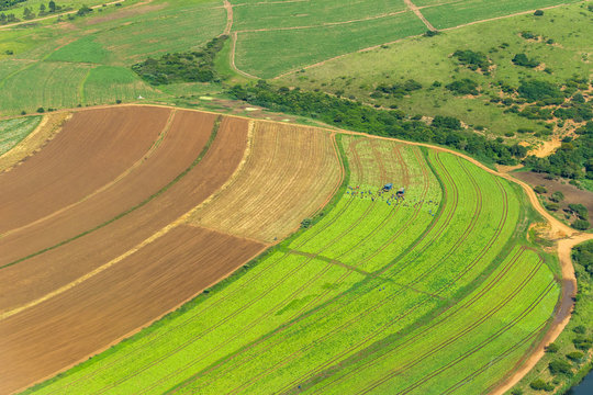 Flying Farmlands Fields Crops Dam Landscape