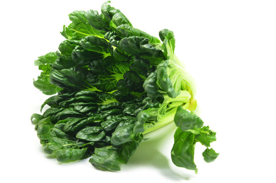 Chinese flat cabbage (Brassica chinensis) or Tah Tsai lettuce