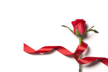 Single red rose on a plain white background with a red ribbon