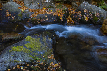 Otoño en los Pirineos