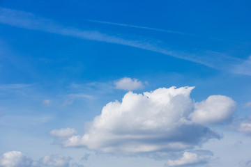 Light gentle cloud on a blue sky
