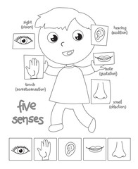 Five senses boy coloring illustration
