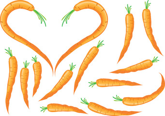 carrot design