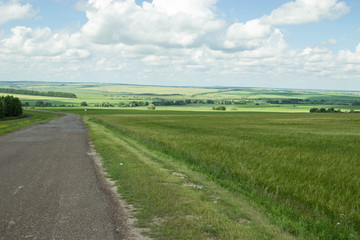 Country road. Picturesque summer view.